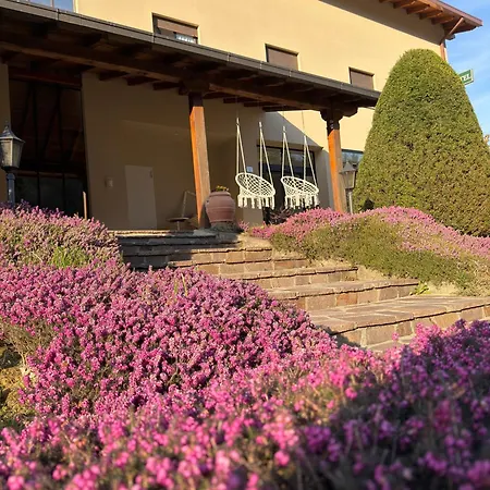 Merloni Hotel Grandola ed Uniti