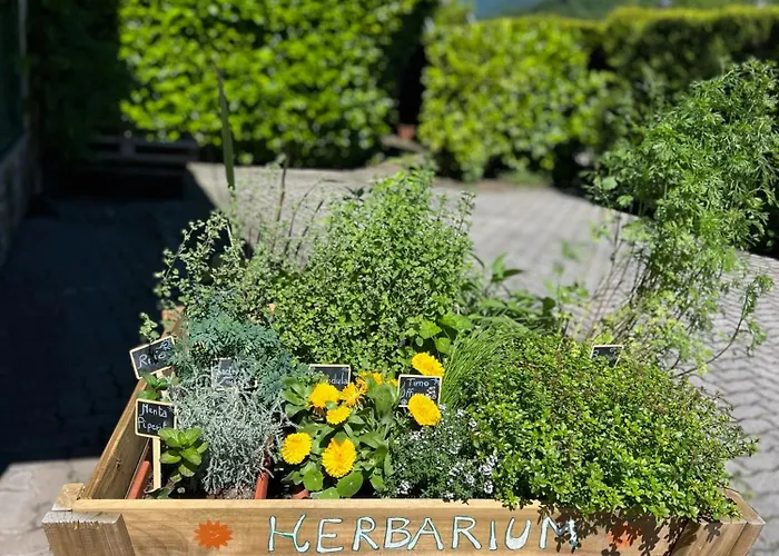 Merloni Отель 3*