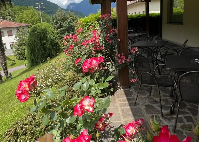 Hotel Merloni 3*